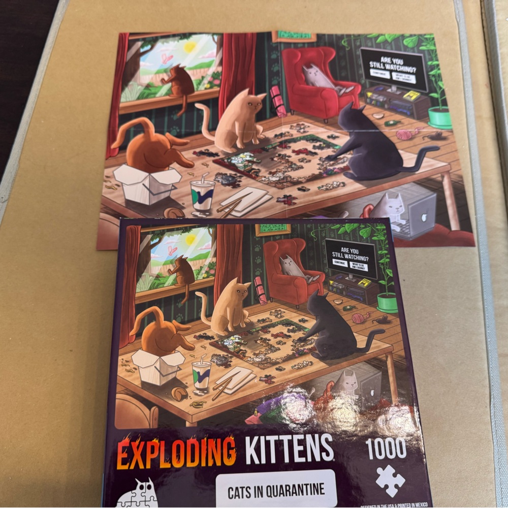 Exploding Kittens Cats in Quarantine Puzzle